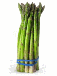 Bundle of asparagus